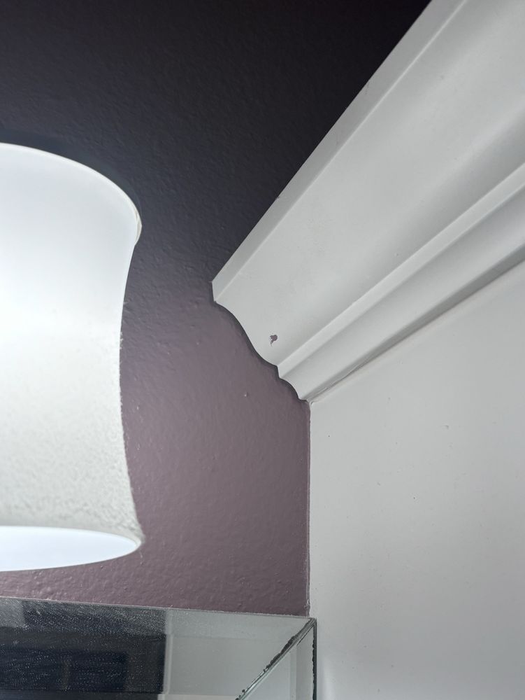 Slide of Evoke Roofing & General Contracting