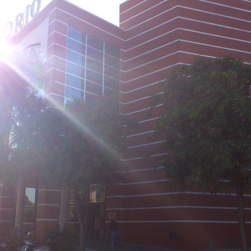 TOP 10 BEST Funeral Services & Cemeteries near Montilla, Córdoba, Spain -  Updated 2026 - Yelp