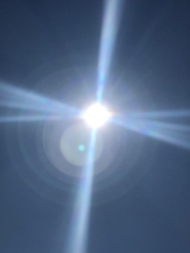 MONARCH CORE Updated August 2024 Request Consultation 156 S