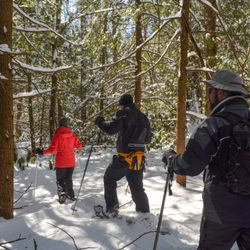 The Jim Thorpe eXperience - Snowshoeing is a great way to get active in the winter, plus to see nature in a different way...