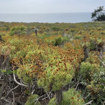 Point Dume Cove Trail - Hiking Near Me - Malibu, California Point Dume Cove Trail - Hiking Near Me - Malibu, California
