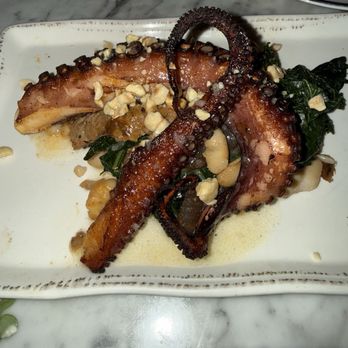 Oak and Ola - Roasted Octopus - New American Near Me - Tampa, Florida Oak and Ola - Roasted Octopus - New American Near Me - Tampa, Florida