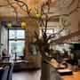 Photo of Cafe Botanica