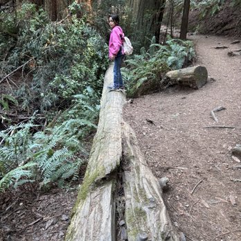 Steep Ravine Trail - Hiking Near Me
