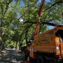 Photo of OFS Tree Service