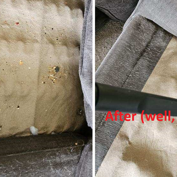 Cleaning Adora Housecleaning - I knew it was bad under my couch cushions. I didn't ask them to check it out. Glad they did! - Home Cleaning Near Me