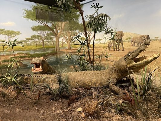 Las Vegas Science & Natural History Museum by null