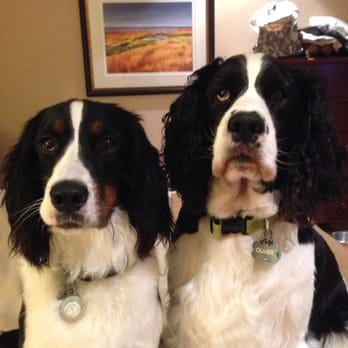 The Ark Pet Salon 2by2 - We love our clean, new do's!! Love Eddie and Ollie - Pet Groomers Near Me - Sunset Beach, California The Ark Pet Salon 2by2 - We love our clean, new do's!! Love Eddie and Ollie - Pet Groomers Near Me - Sunset Beach, California