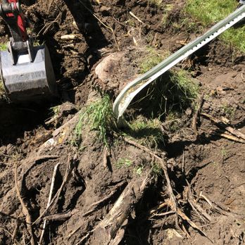 Absolute Hauling & Services - Stump had some metal in it, so we had to dig it up. Long day in Burton Michigan. - Junk Removal & Hauling Near Me - Mount Morris, Michigan