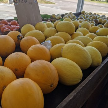Steve's Produce - Fruits & Veggies Near Me - Palm Harbor, Florida Steve's Produce - Fruits & Veggies Near Me - Palm Harbor, Florida