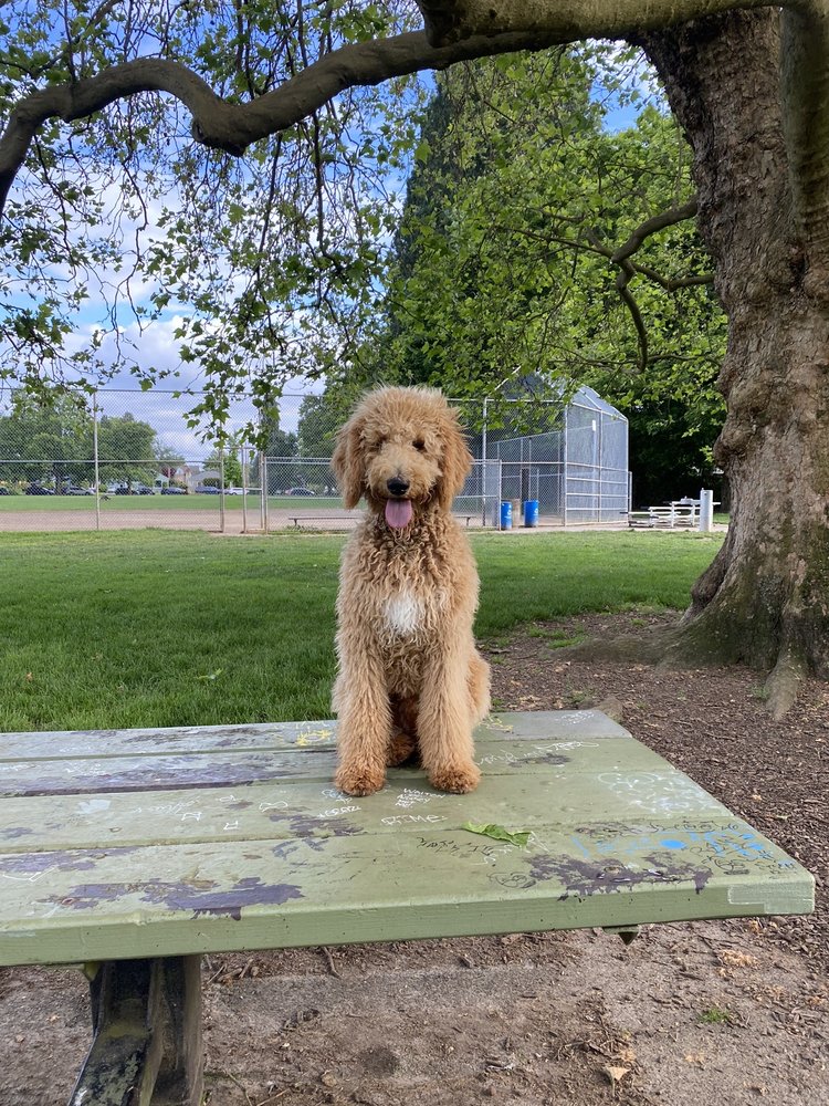 FERNHILL PARK Updated October 2024 29 Photos & 26 Reviews NE 37th