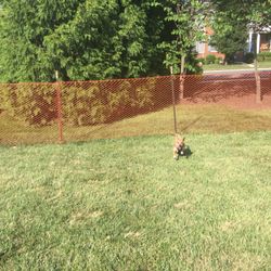 Loudoun Valley Dog Park - Loudoun Valley Dog park