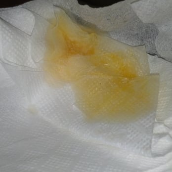 El Tacorrido - Grease on the tissue that was in the bag with my one taco! - Mexican Near Me - Austin, Texas El Tacorrido - Grease on the tissue that was in the bag with my one taco! - Mexican Near Me - Austin, Texas