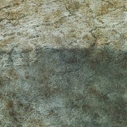 Brandon's Carpet & Cleaning Service - Might as well give it a try!
