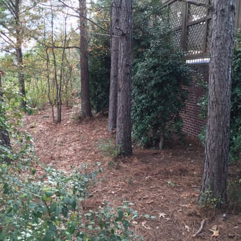 Atlanta Junk Pilot - Junk Removal & Hauling Near Me - Fairburn, Georgia Atlanta Junk Pilot - Junk Removal & Hauling Near Me - Fairburn, Georgia