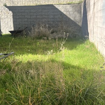 V V Greenland - Before work, backyard overgrown - Landscaping Near Me - Perris, California