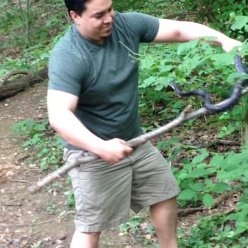 Mason District Park - Parks Near Me - Annandale, Virginia