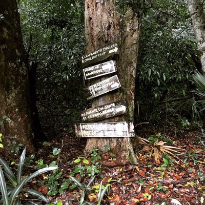 Jardín Botanico Dr. Alfredo Barrera Marín by null