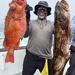 Black Pearl Sportfishing