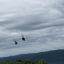Fly down the duel zip line!!