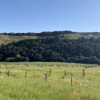Minassian-Young Vineyards - Great view - Wineries Near Me - Paso Robles, California