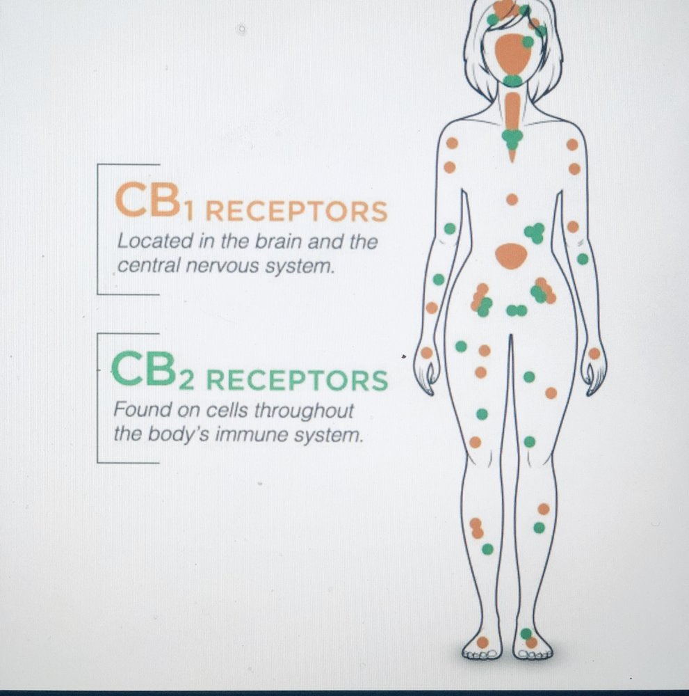 The Patient Advocate - home care agency in Penfield, NY