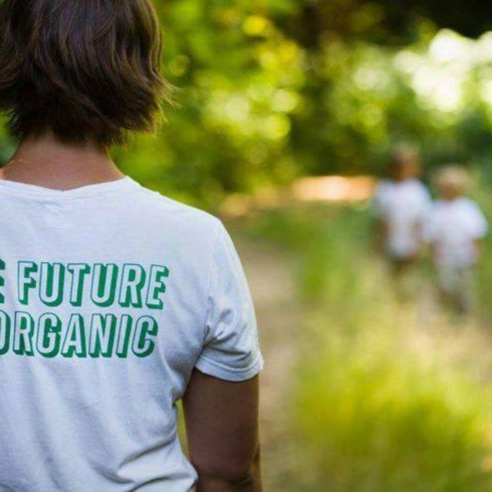 THE BEST 10 Homeopathic Doctor in Solano County, CA - Updated 2026 -  Quality & Affordability - Yelp