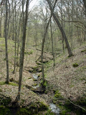 Rock Bridge Memorial State Park by null