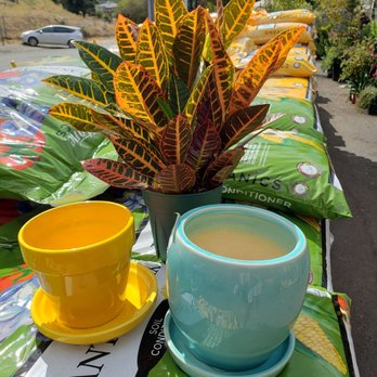 Broadway Terrace Nursery - Nurseries & Gardening Near Me - Oakland, California Broadway Terrace Nursery - Nurseries & Gardening Near Me - Oakland, California