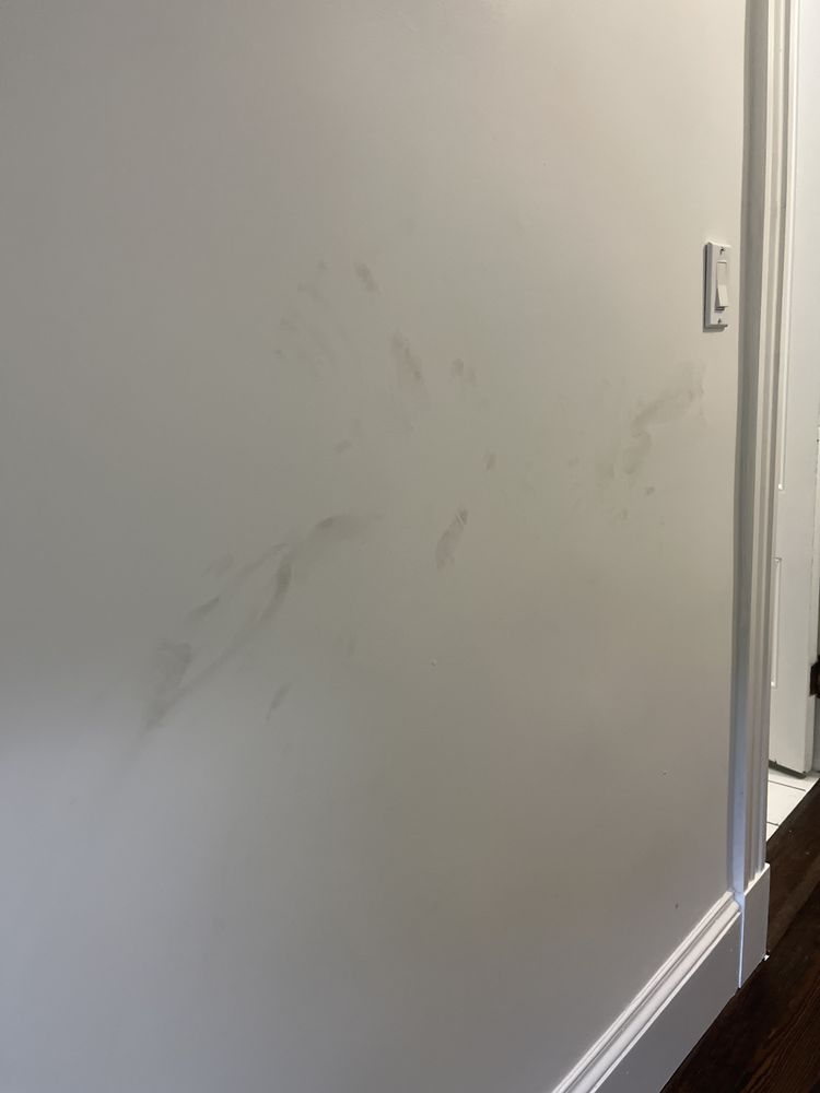 Slide of Boston Standard Company