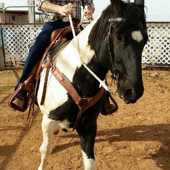 Full Circle Horse Training - Horse Boarding Near Me - Wittmann, Arizona