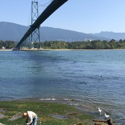 Lions Gate Bridge view. Lions Gate Bridge view.