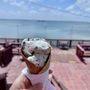Photo of Scoopy's