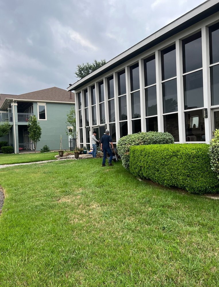 Freedom Lawn Services - tree service in Austin, TX