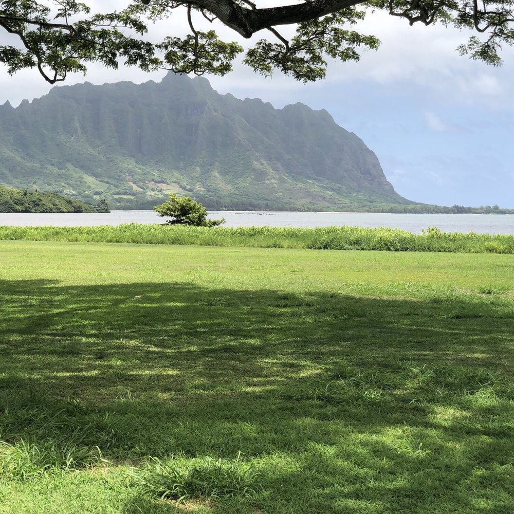KOS Tours - THE ISLAND! - Tours Near Me - Honolulu, Hawaii KOS Tours - THE ISLAND! - Tours Near Me - Honolulu, Hawaii