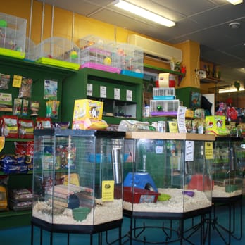 The Urban Zoo - Pet Stores Near Me - Hamilton, Ontario The Urban Zoo - Pet Stores Near Me - Hamilton, Ontario