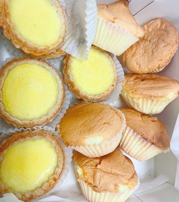 Cherry Blossom Bakery by null