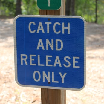 Pundt Park - Hart Pundt Lake - Catch & Release - Dog Parks Near Me - Spring, Texas