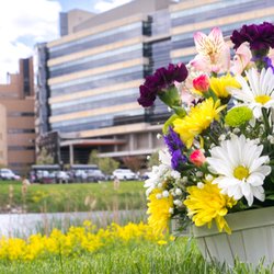 UW Health | Carbone Cancer Center - UW Carbone Cancer Center