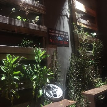 Lil Indies - Succulent/ plant garden out front. - Pubs Near Me - Orlando, Florida Lil Indies - Succulent/ plant garden out front. - Pubs Near Me - Orlando, Florida