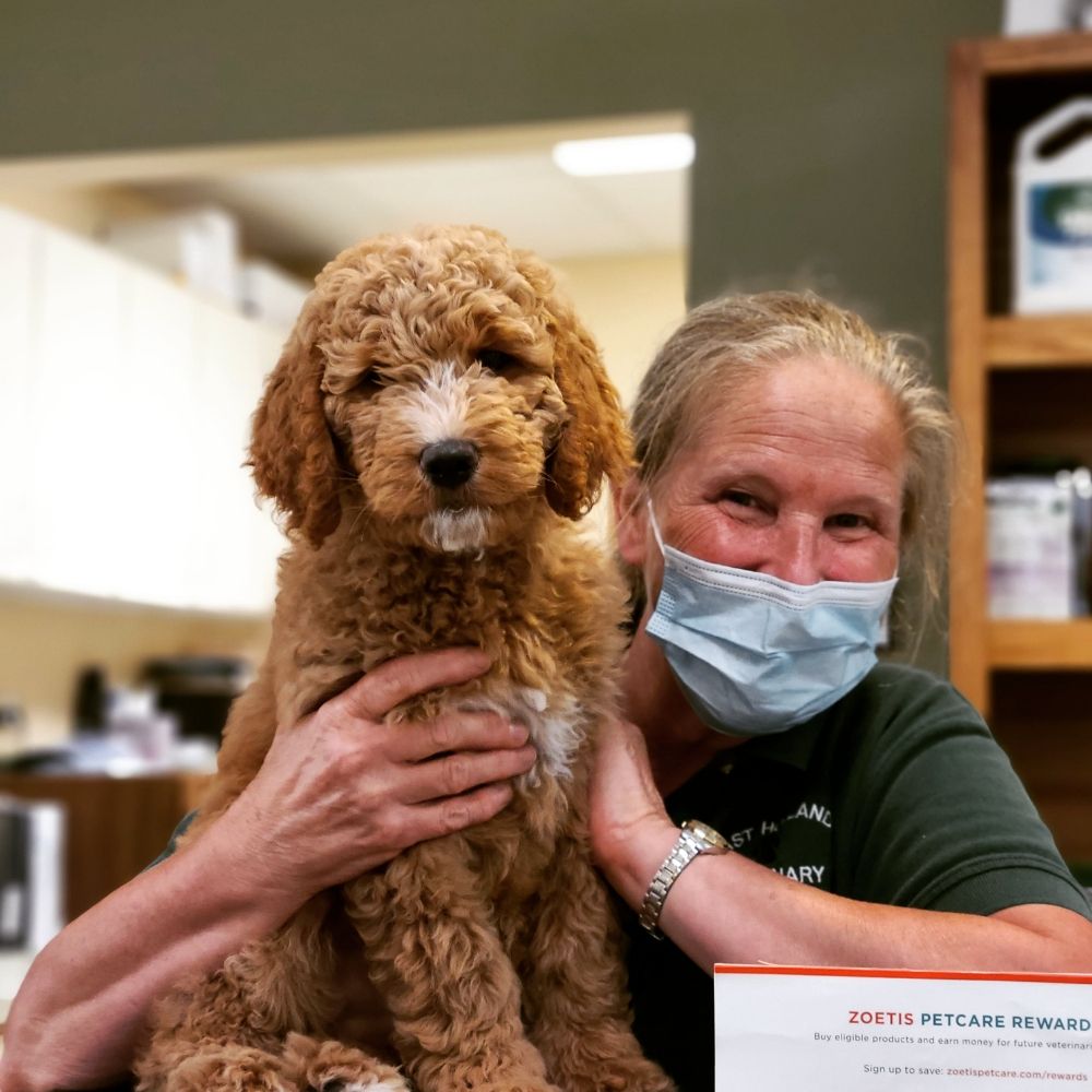 EAST HOLLAND VETERINARY CLINIC with photos Updated August 2024 27