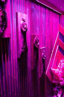 Budda Kitchen & Bar by null