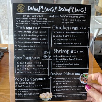 Dumpling? Dumpling! - Dumpling varieties and braised dishes - Chinese Near Me - Ottawa, Ontario