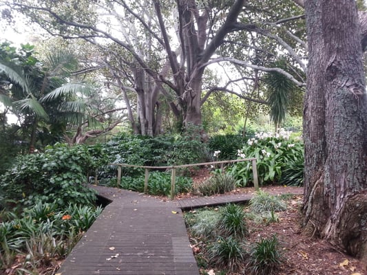 Dove Myer Robinson Park (Parnell Rose Garden) by null