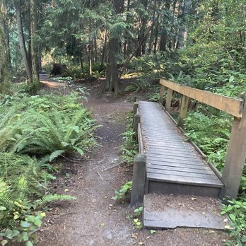 Robin Hill Farm County Park - Found this bridge on the foot trail. - Parks Near Me - Sequim, Washington Robin Hill Farm County Park - Found this bridge on the foot trail. - Parks Near Me - Sequim, Washington