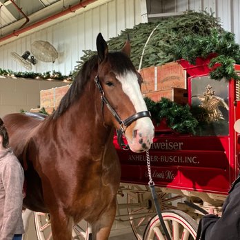 Warm Springs Ranch - Tours Near Me - Boonville, Missouri