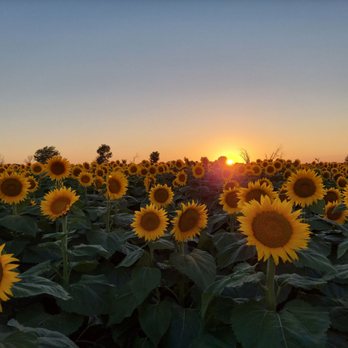 Elenors Events - Venues & Event Spaces Near Me - Scranton, Kansas