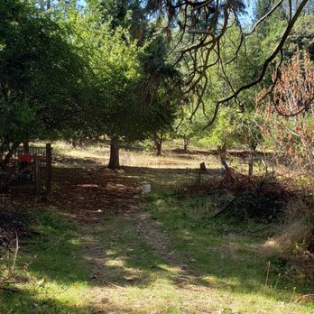Ponderosa Ridge A Bed and Breakfast - Bed & Breakfast Near Me - Placerville, California