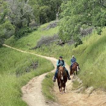Boarding On The Lake - Horseback Riding Near Me - Granite Bay, California