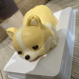 Corgi